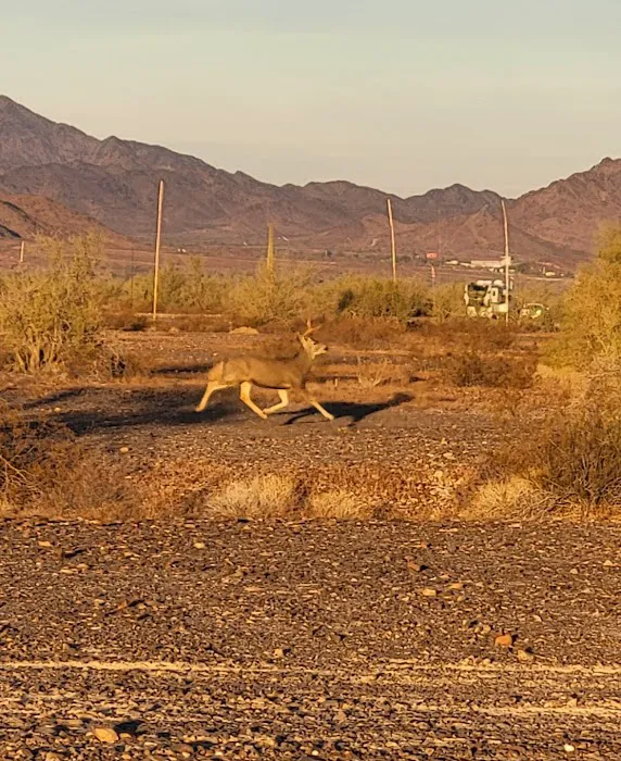 La Posa North BLM Long Term Visitor Area (LTVA) 9