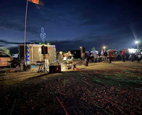 THE LIT CACTUS