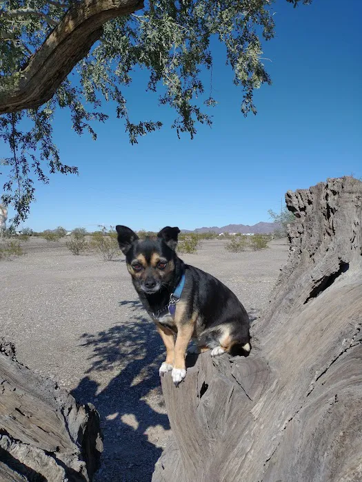 BLM Camping- 2