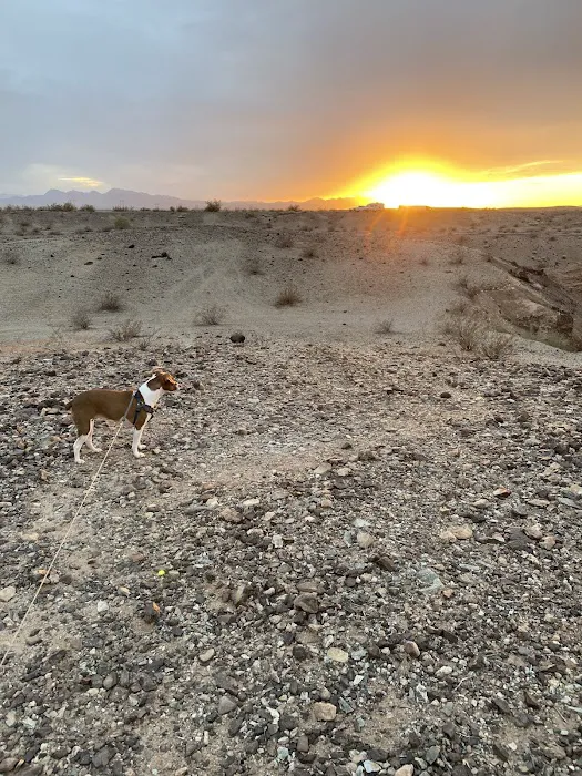 BLM Land Camping Scaddan Wash 9