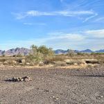 Plomosa Road BLM Camping Area Campground Quartzsite