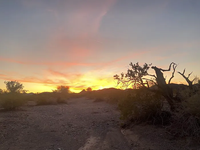 Plomosa Road BLM Camping Area Campground Quartzsite 3