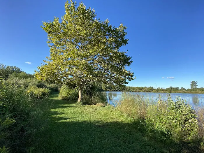 Maumee Bay State Park Campground 5