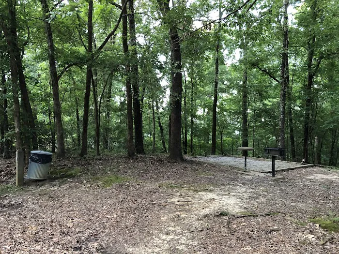 CLEAR CREEK (MS) (recgovnpsdata) 3