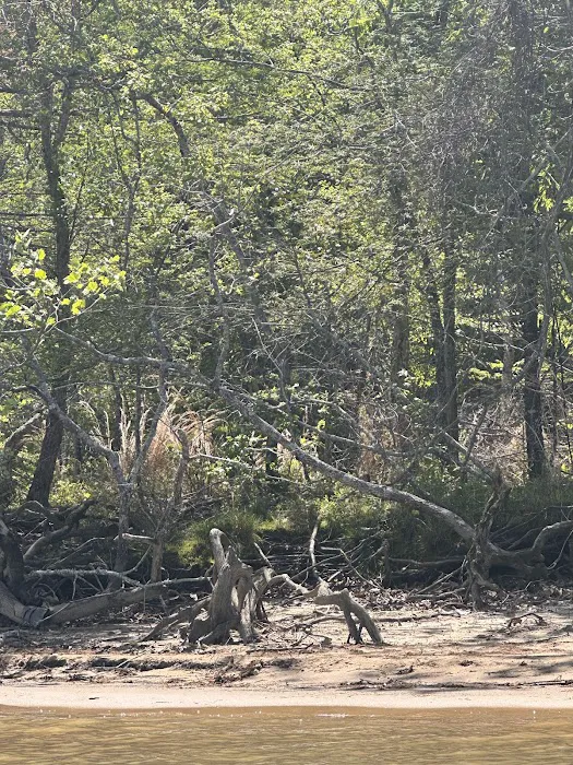 John Kyle State Park Campground 6