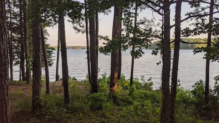 Piney Grove Campground 2