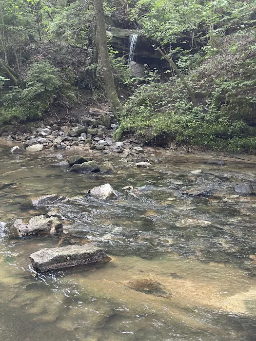 Elliott Branch 6