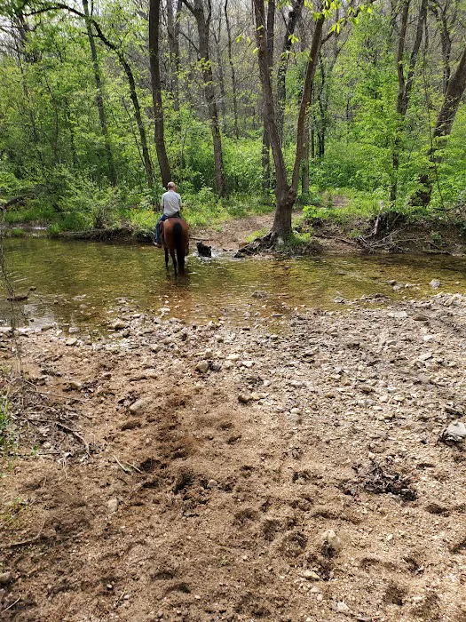 Lead Mine Conservation Area 6