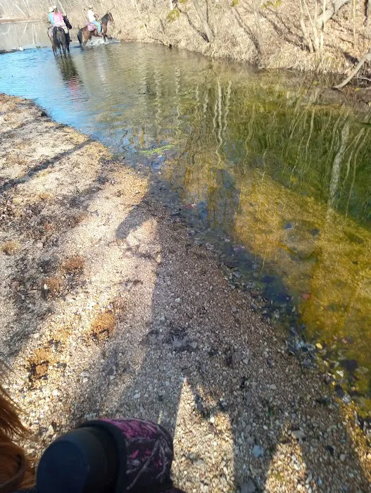 Lead Mine Conservation Area 2