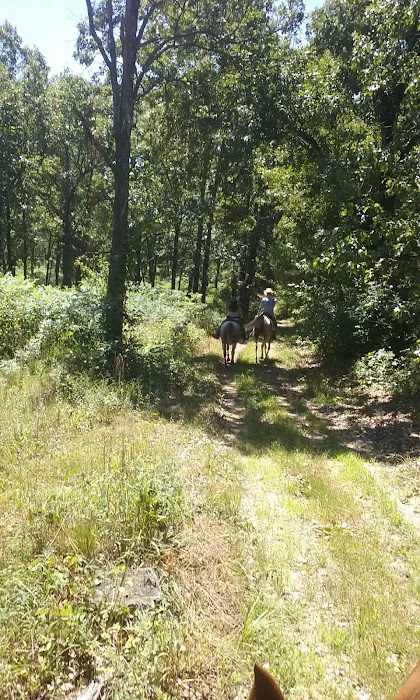 Lead Mine Conservation Area 9