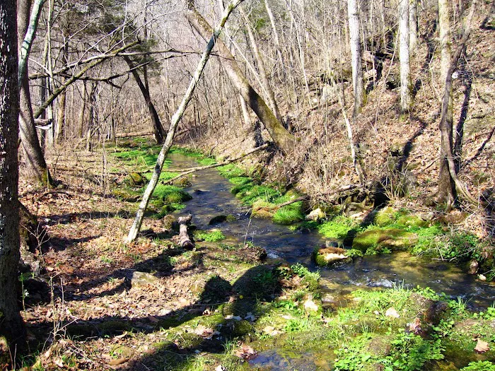 Bliss Spring Campground 8
