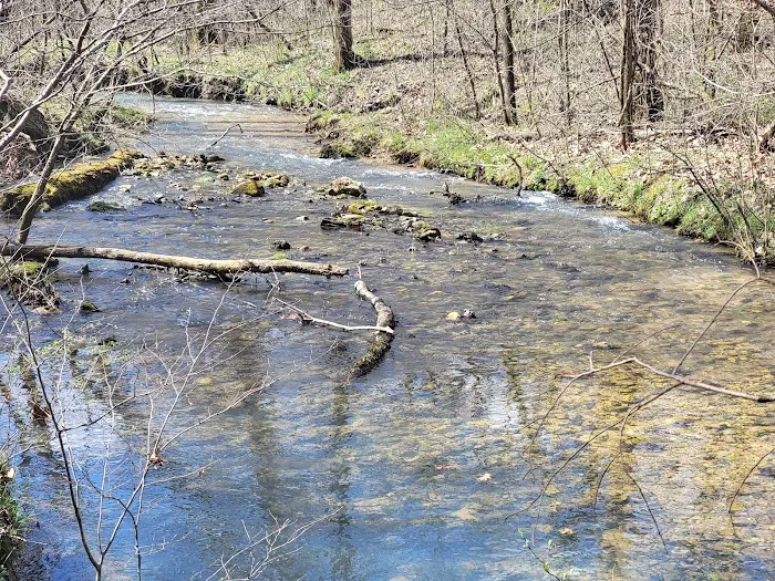 Bliss Spring Campground 2