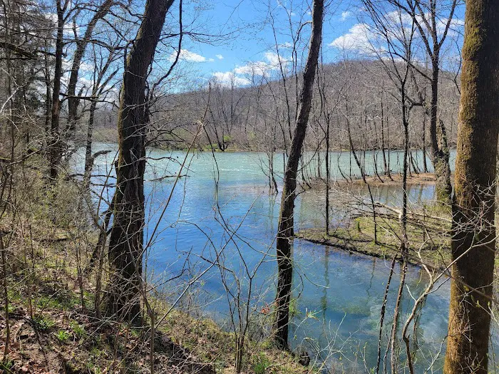 Bliss Spring Campground 4