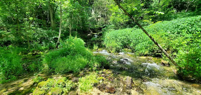 Turner Mill South Campground 4