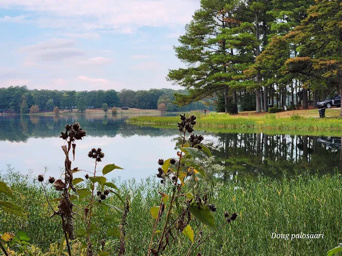 Craighead Forest Park RV/Campground 8