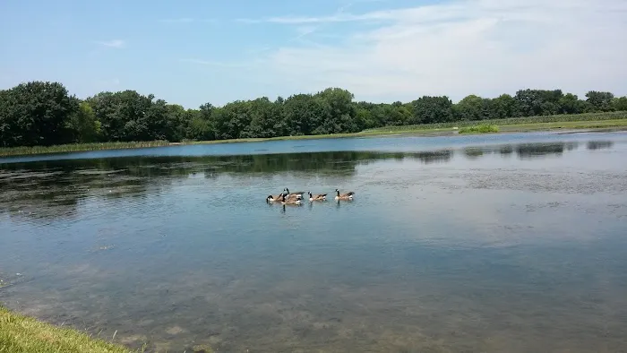 Cool Creek Resort 5