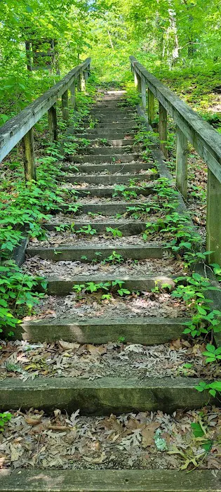Lakeview Campground 7