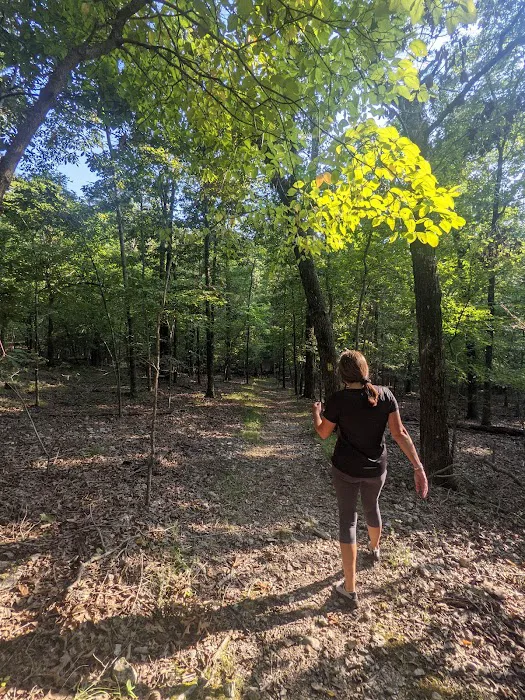Bull Shoals White River Campground 3