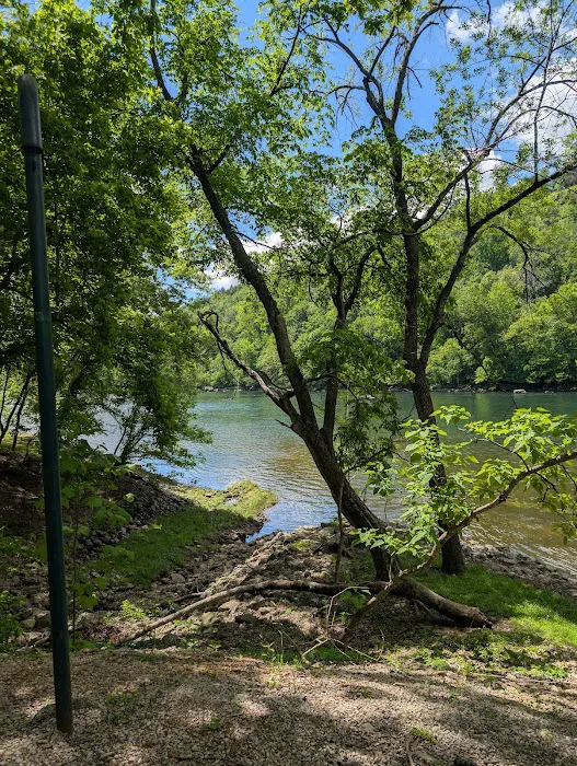 Bull Shoals White River Campground 2