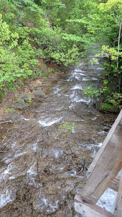 McCormack Lake Campground 8