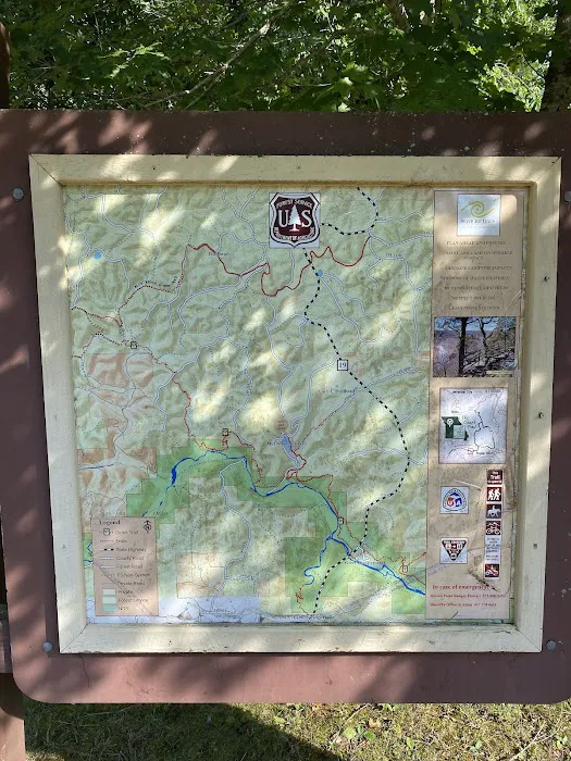 McCormack Lake Campground 6