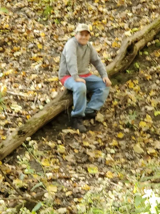 Pine Grove Campground 2