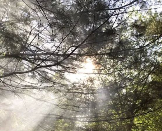 Pine Grove Campground