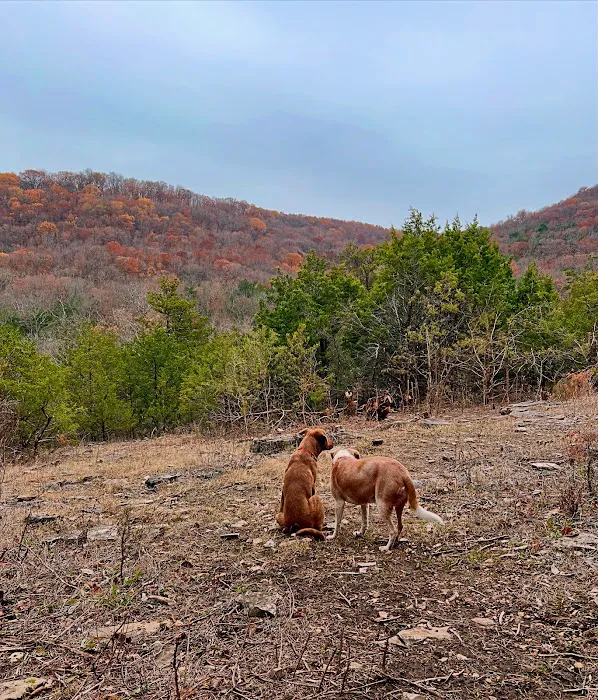 Cold Creek Valley 5