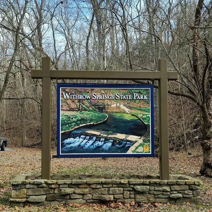 Withrow Springs State Park Campground 8