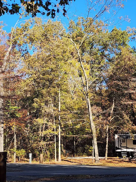 Withrow Springs State Park Campground 2
