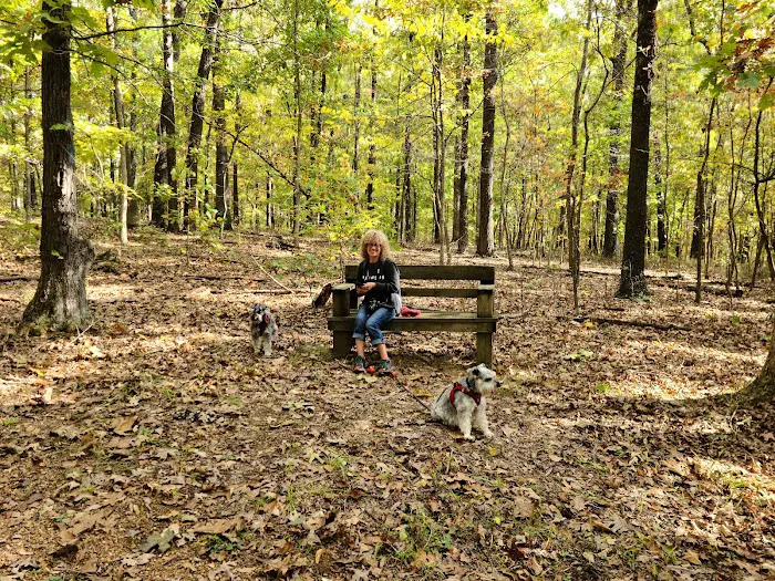 Withrow Springs State Park Campground 7