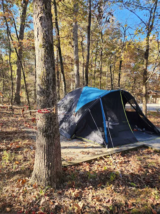 Withrow Springs State Park Campground 4