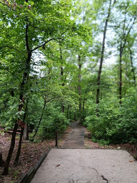 Withrow Springs State Park Campground 9