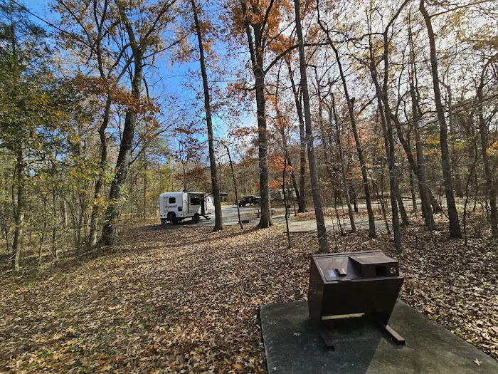 Withrow Springs State Park Campground 3