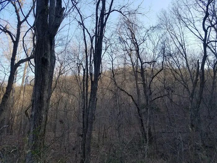 Spring Creek Campground 5