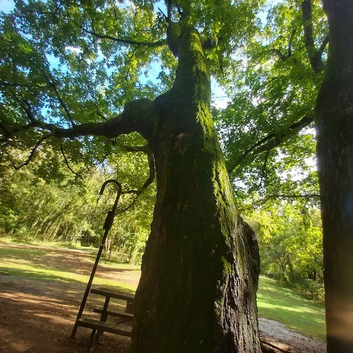 Spring Creek Campground 6