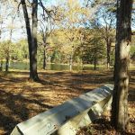 The Wildlife Campground