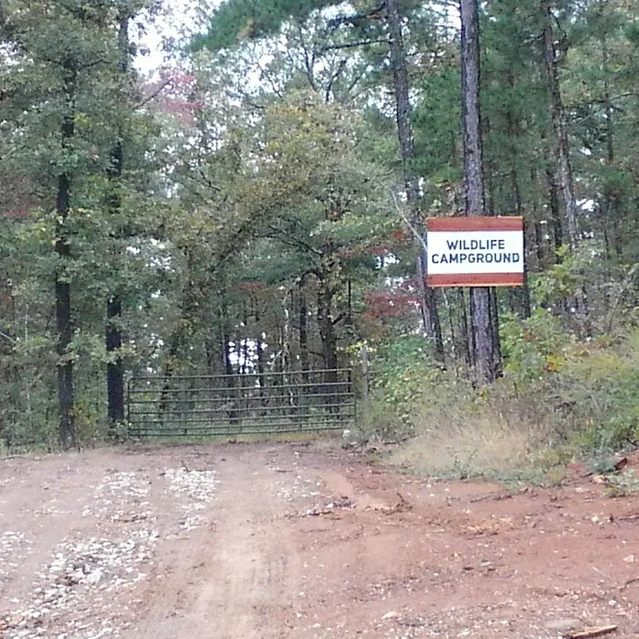 The Wildlife Campground 4