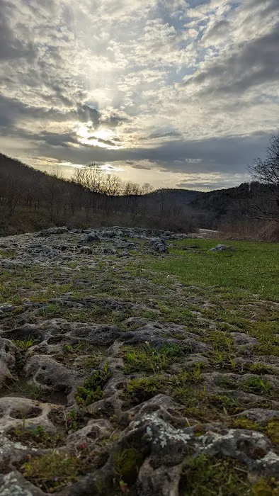 Buffalo Point Campground, Loop B 9