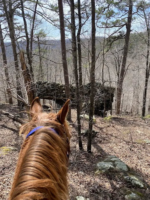 Boston Mountain Horse Camp 1