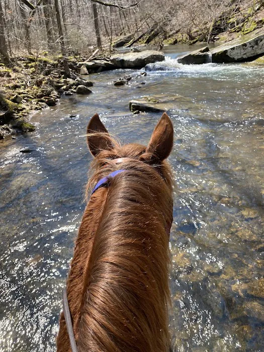 Boston Mountain Horse Camp 0