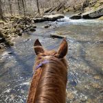 Boston Mountain Horse Camp
