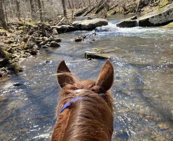 Boston Mountain Horse Camp
