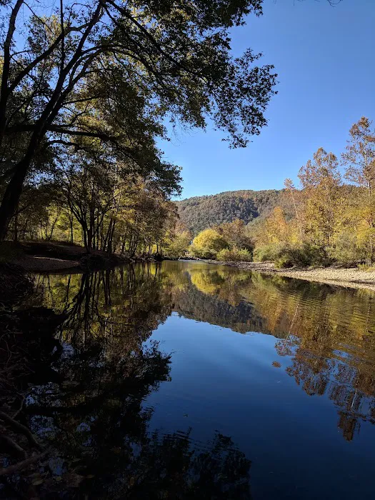 Steel Creek Campground 4
