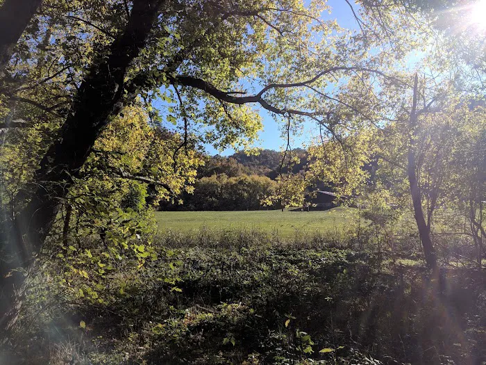 Steel Creek Campground 7