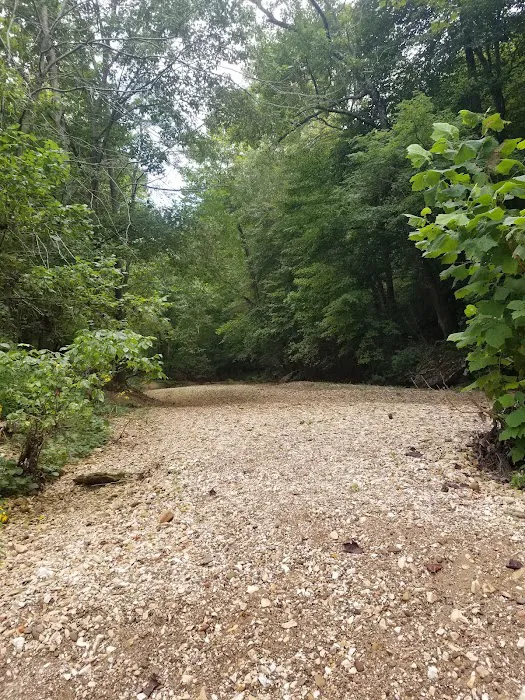 Steel Creek Campground 2