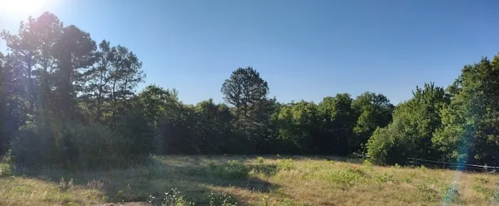 Happy Waterfall Pig Glamping Camp 1