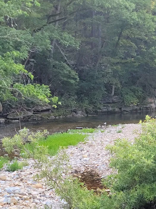 Barkshed Campground 3
