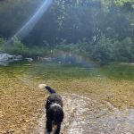 Blanchard Springs Campground