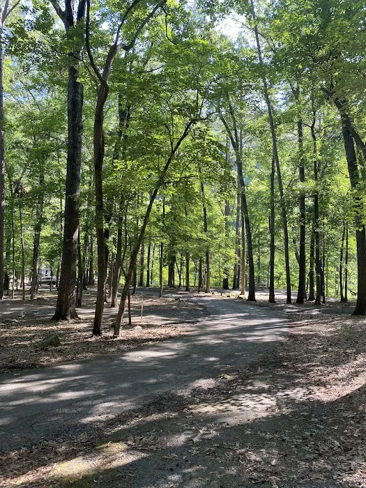 Blanchard Springs Campground 5